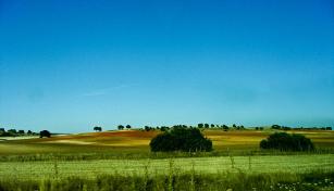 Lugares cruising en Albacete