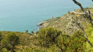 Lugares cruising en Castellón