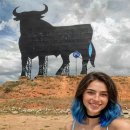 Torito Bravo