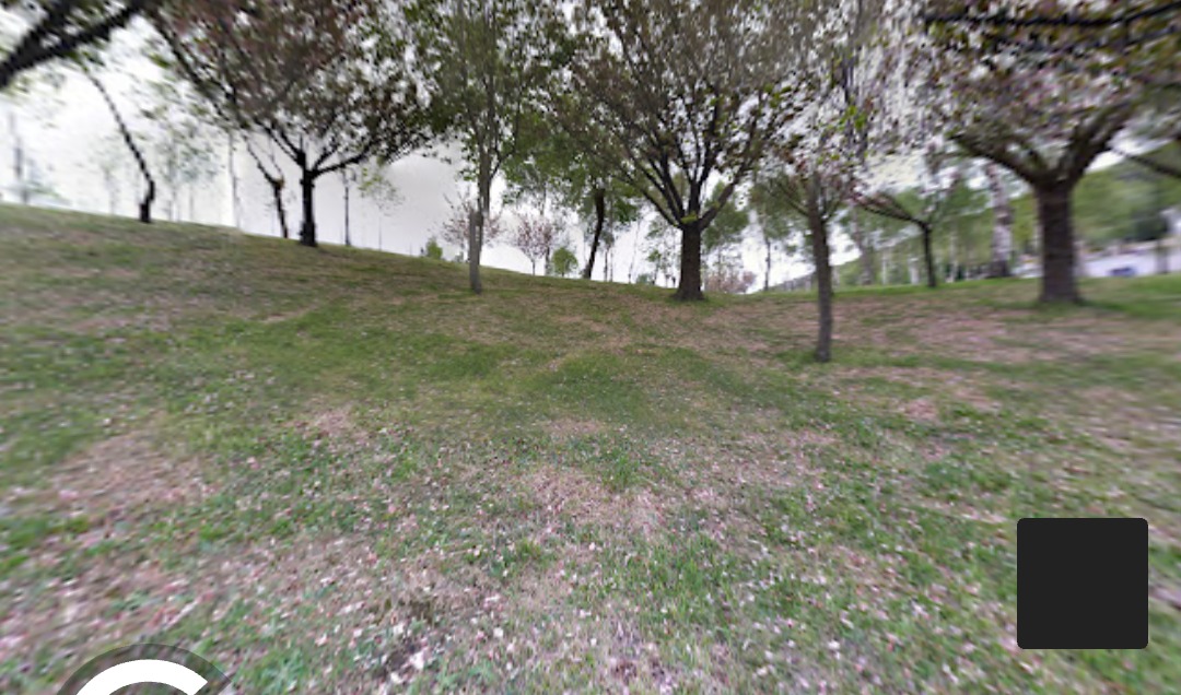 Descampado junto al restaurante Leon - Bilbao