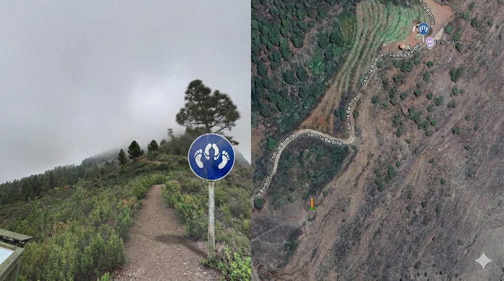 Torre Forestal de La Punta - Tijarafe