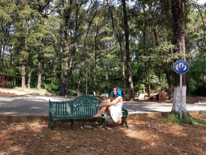 Parque el pinal - Teziutlán